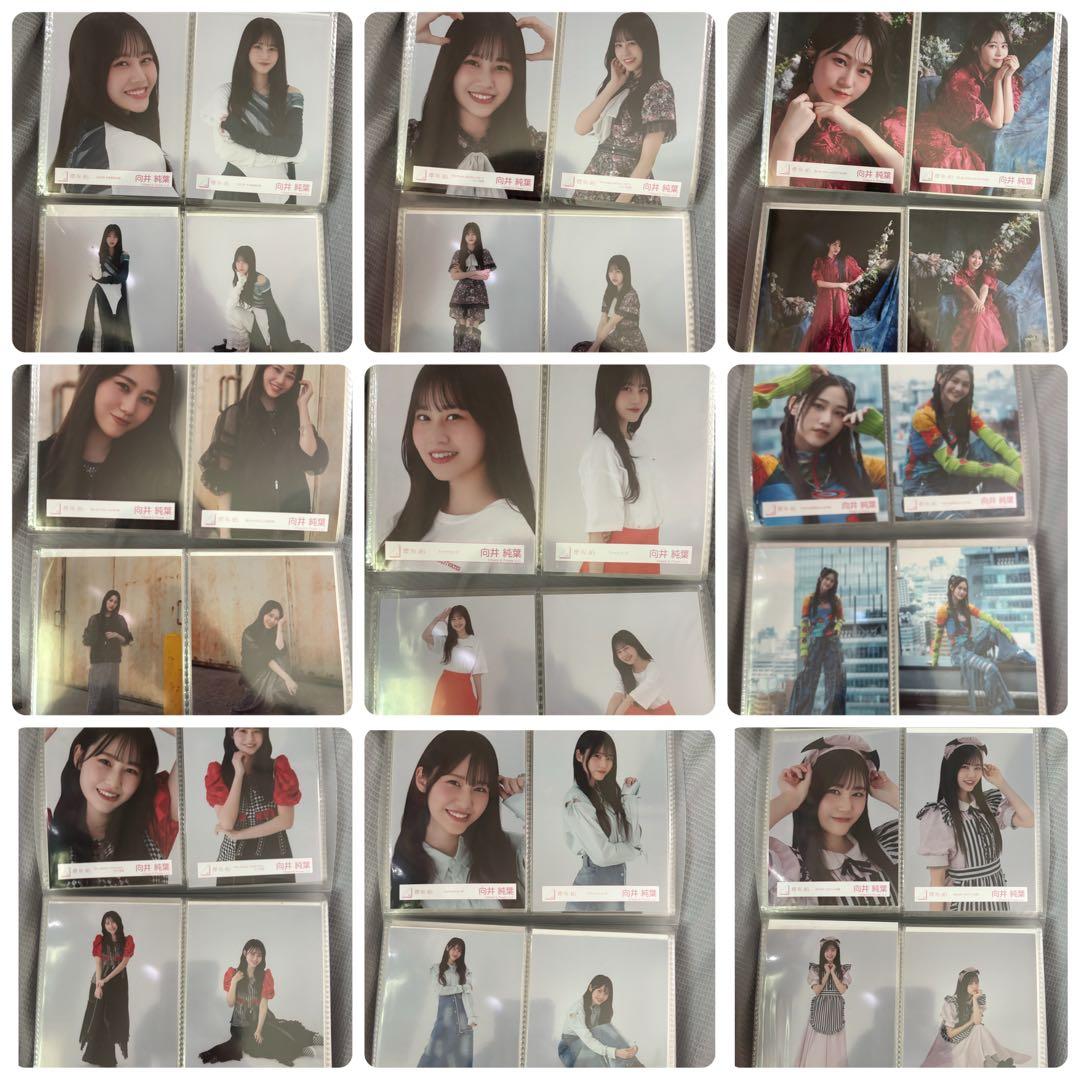 櫻坂46 向井純葉 生写真 コンプ まとめ売り