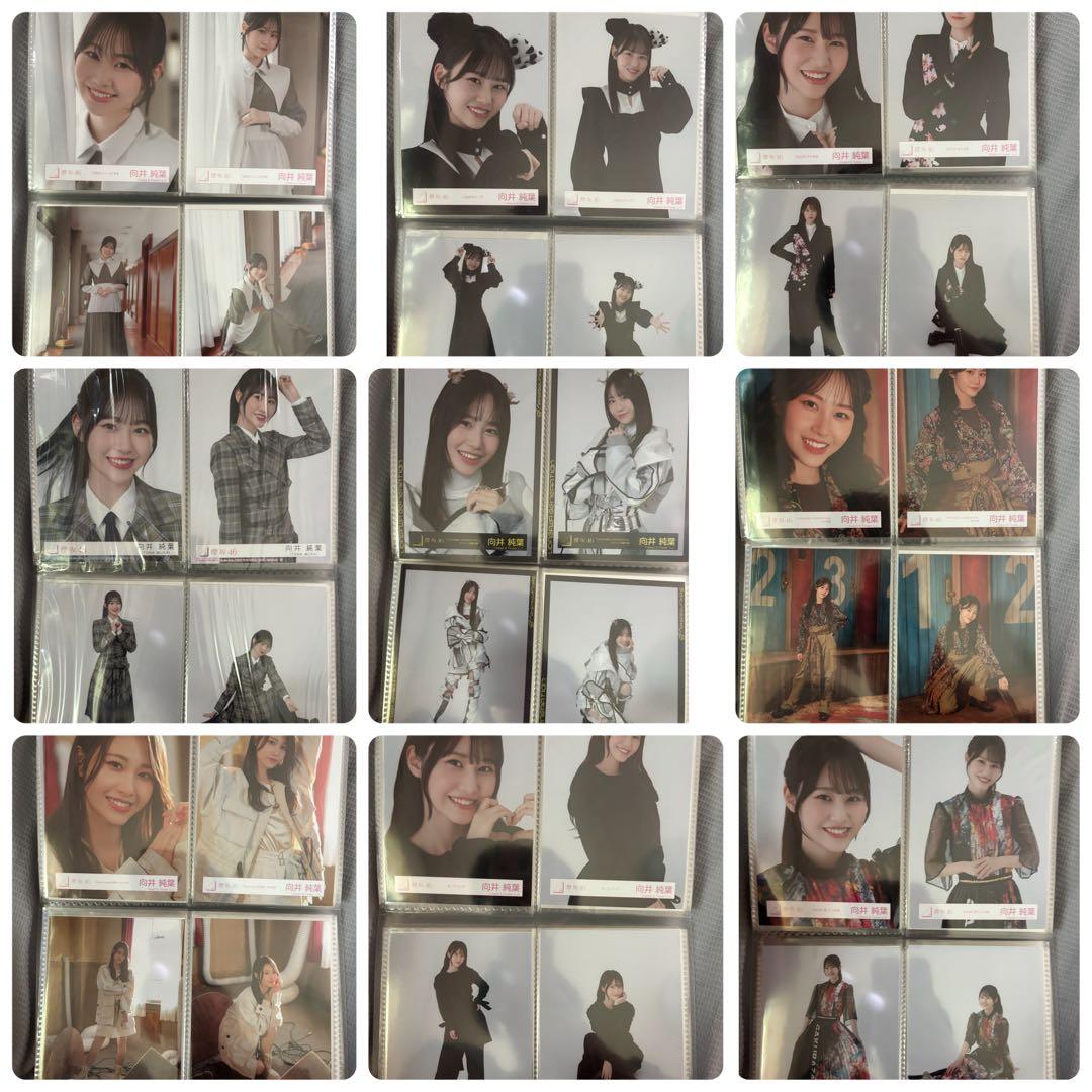 櫻坂46 向井純葉 生写真 コンプ まとめ売り