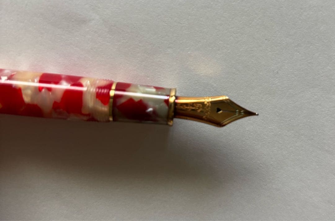 【Xmasセール】プラチナ万年筆 金魚セルロイド　14K Mニブ#3776