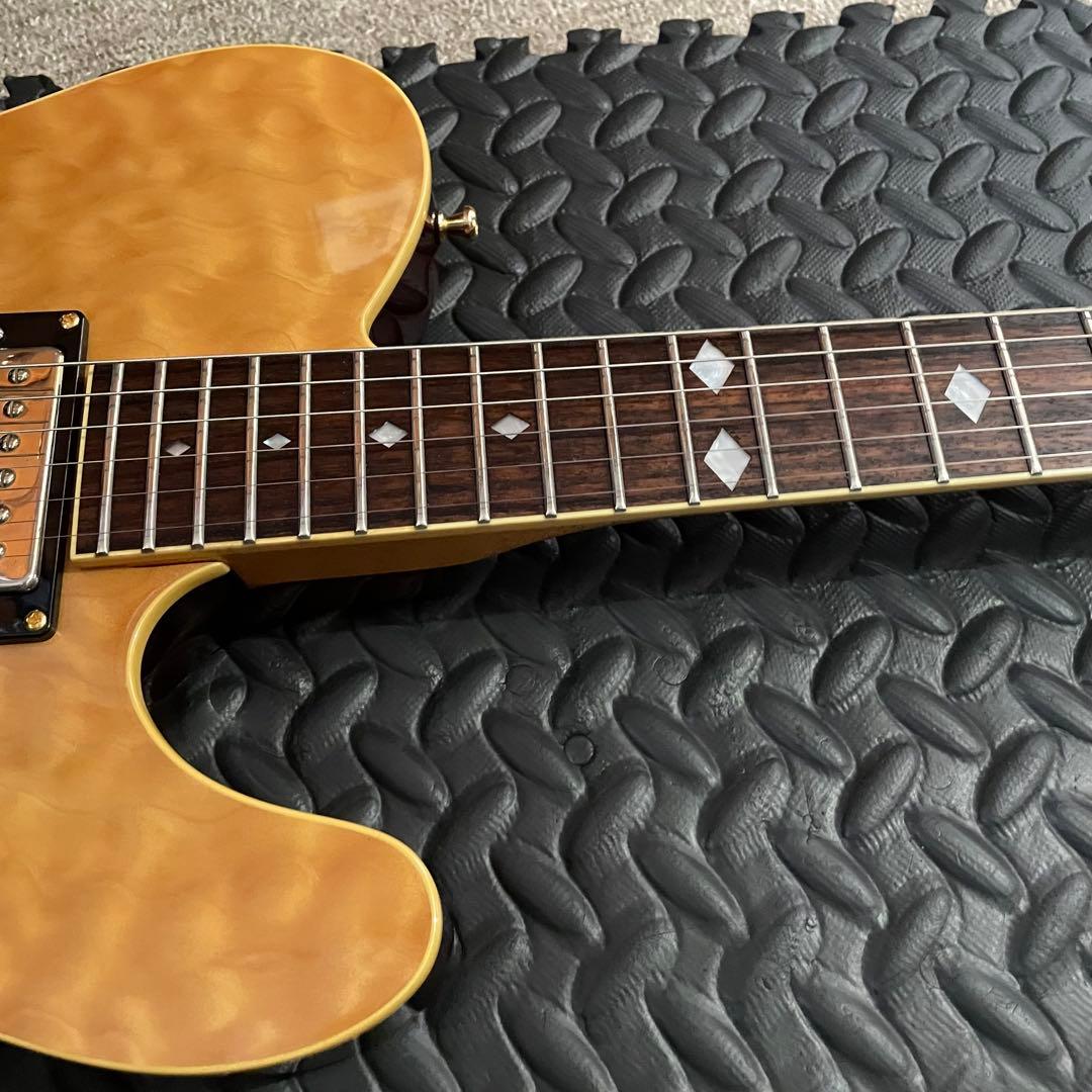 最終値下げSchecter PT-Elite diamond series TL