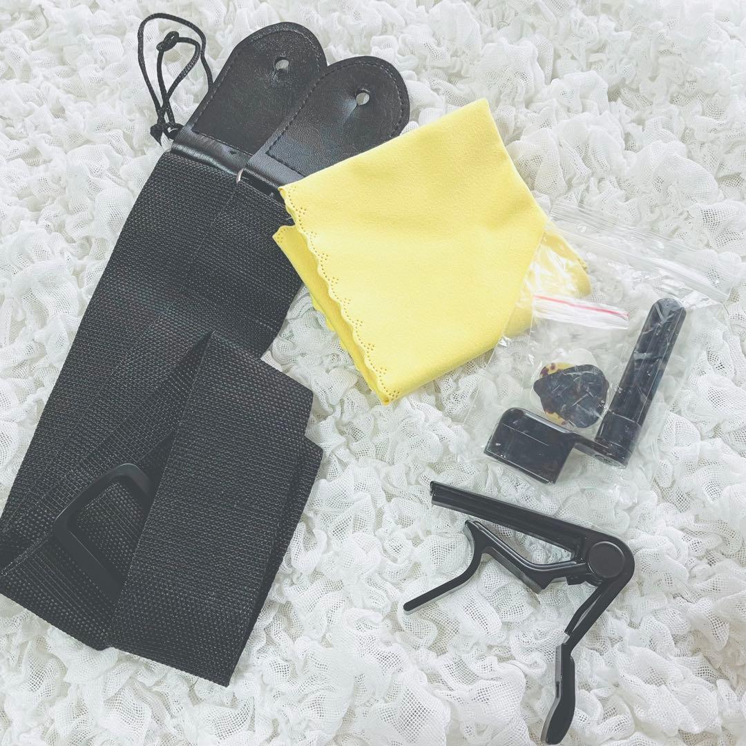 【最終値下げ】Bacchus エレキギター BMS-1R (PTL-SOB)