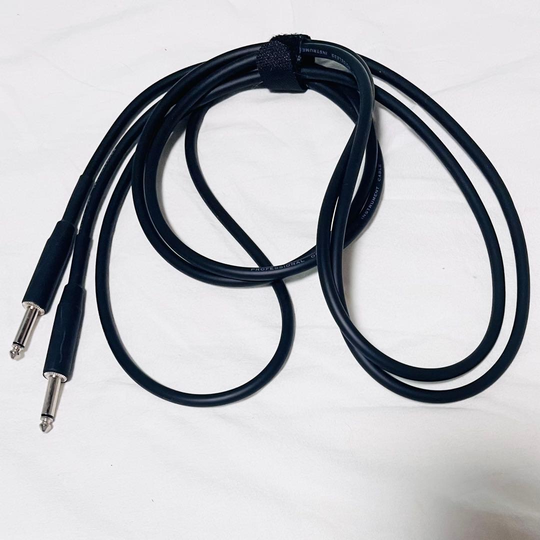 【最終値下げ】Bacchus エレキギター BMS-1R (PTL-SOB)