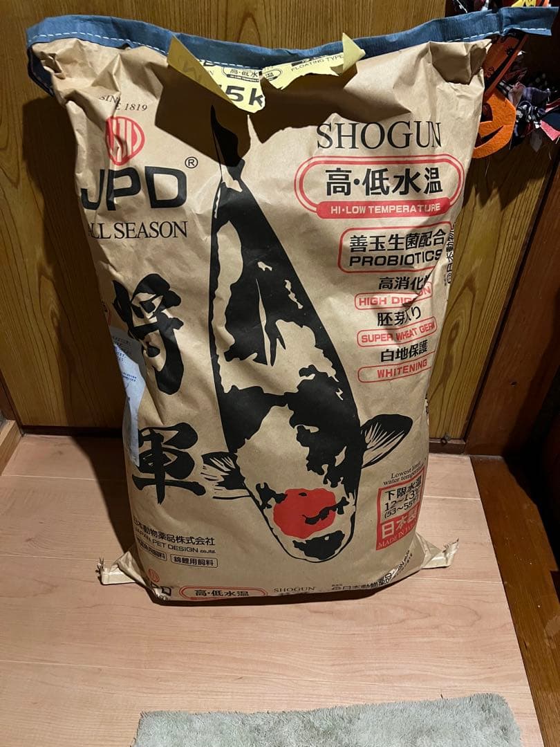 将軍 Mサイズ(浮) 高・低水温 白地保護 錦鯉