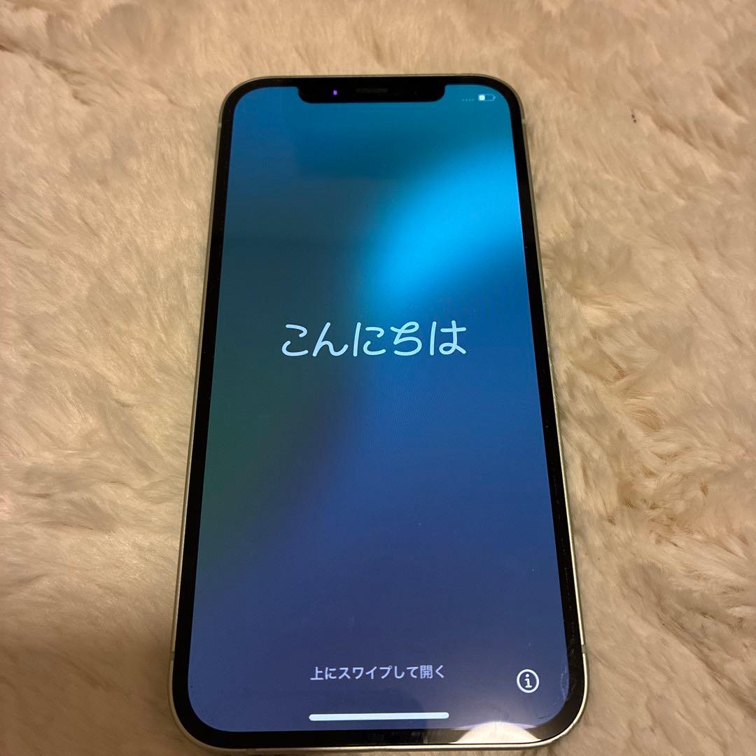 Apple iPhone 12 256GB ミントグリーン 本体　SIMフリー