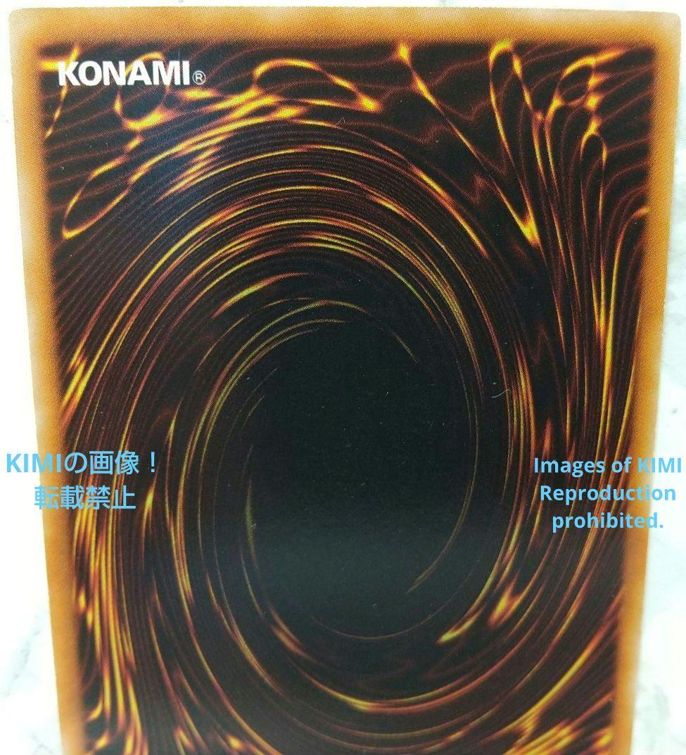 ハーピィ・ガール YSD3-JP006 2008 遊戯王 トレーディングカード