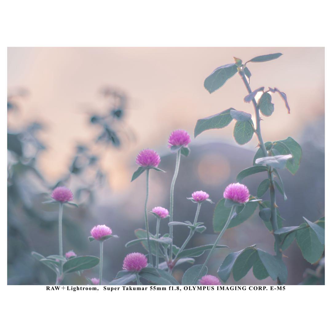 【整備済】Super Takumar 55㎜ f1.8 後期型 タクマー M42