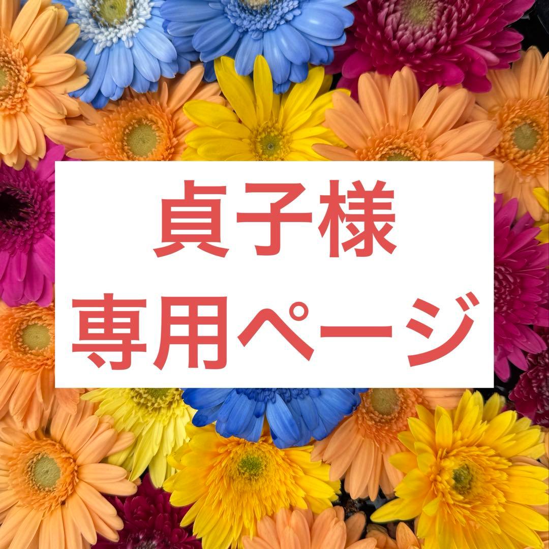 貞子ページ︎✿