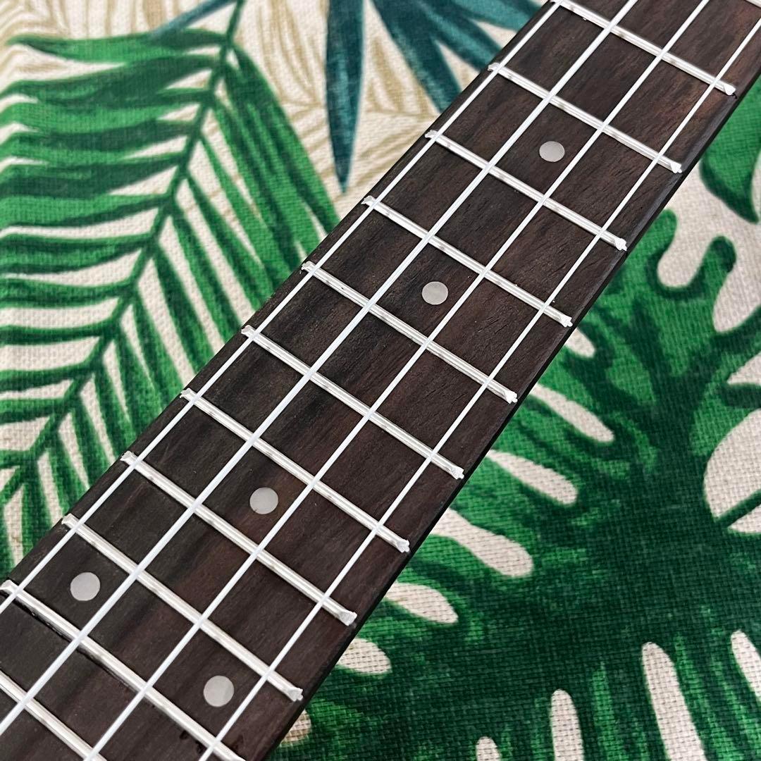 【入門セット】RoseFinchスプルース材コンサートウクレレ【ウクレレ専門店】