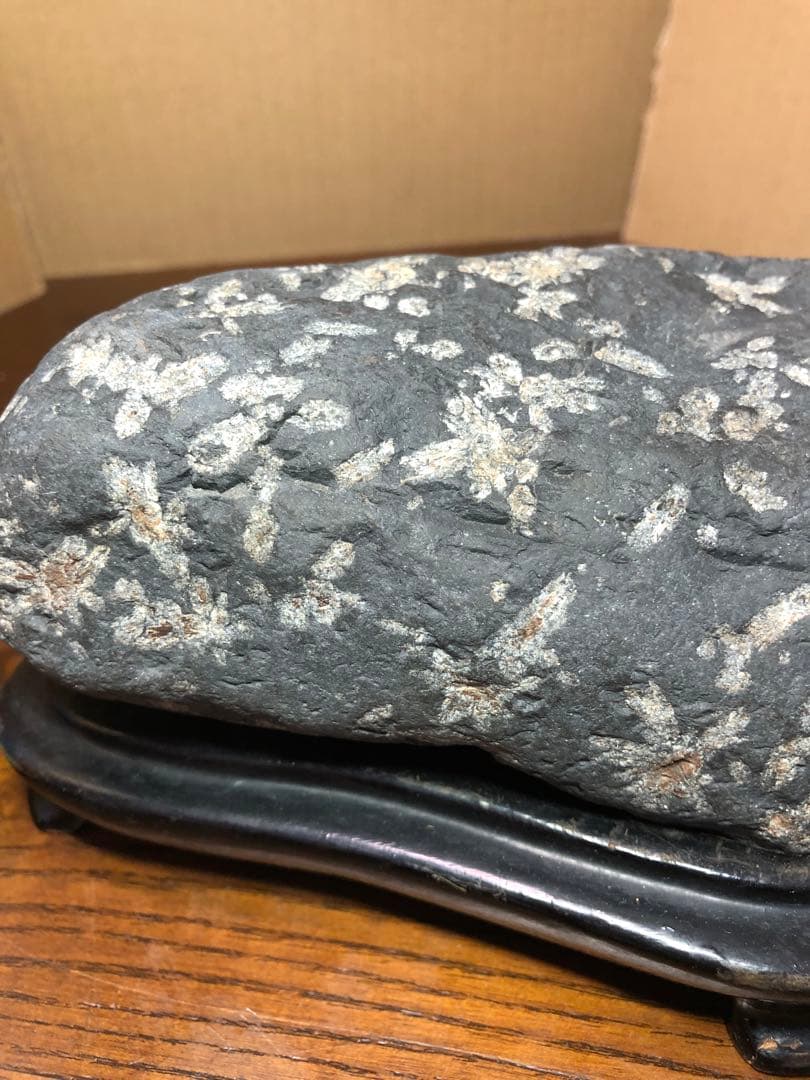 サクラ石　鑑賞石　水石