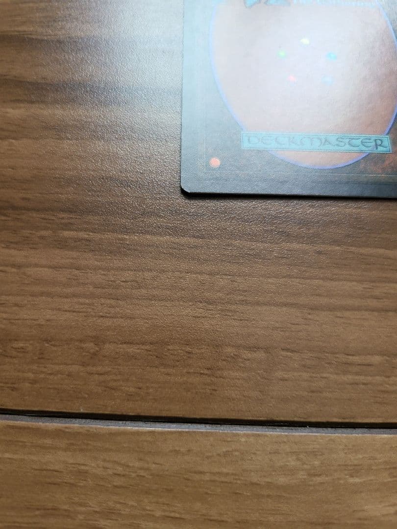 雨ざらしの旅人　foil　マジック：ザ・ギャザリング