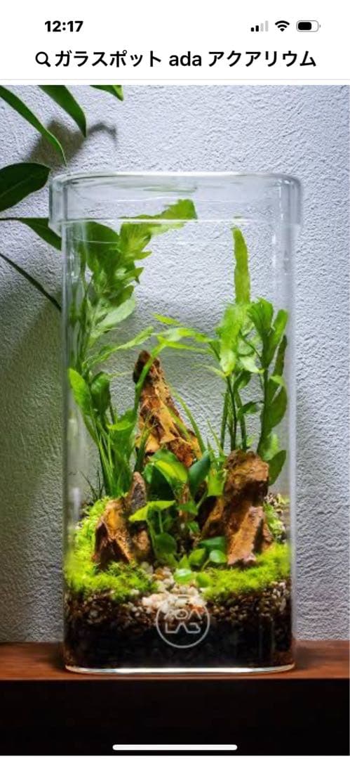 廃盤未使用 ADA Do!aqua プラントグラス 15×15×20 ２個