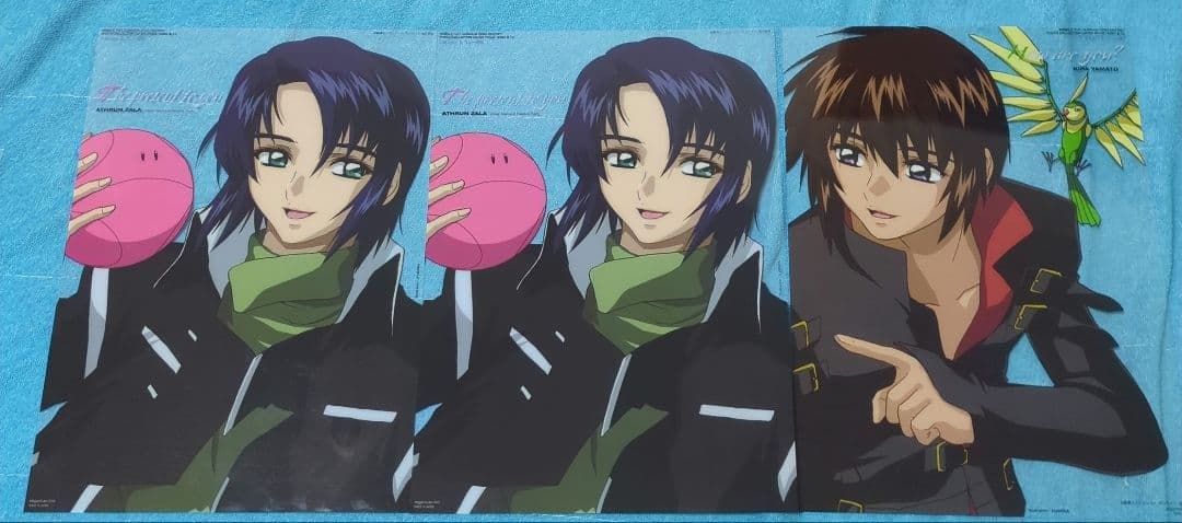 ガンダムSEED DESTINY フォトコレクション イザーク キラ ラクス