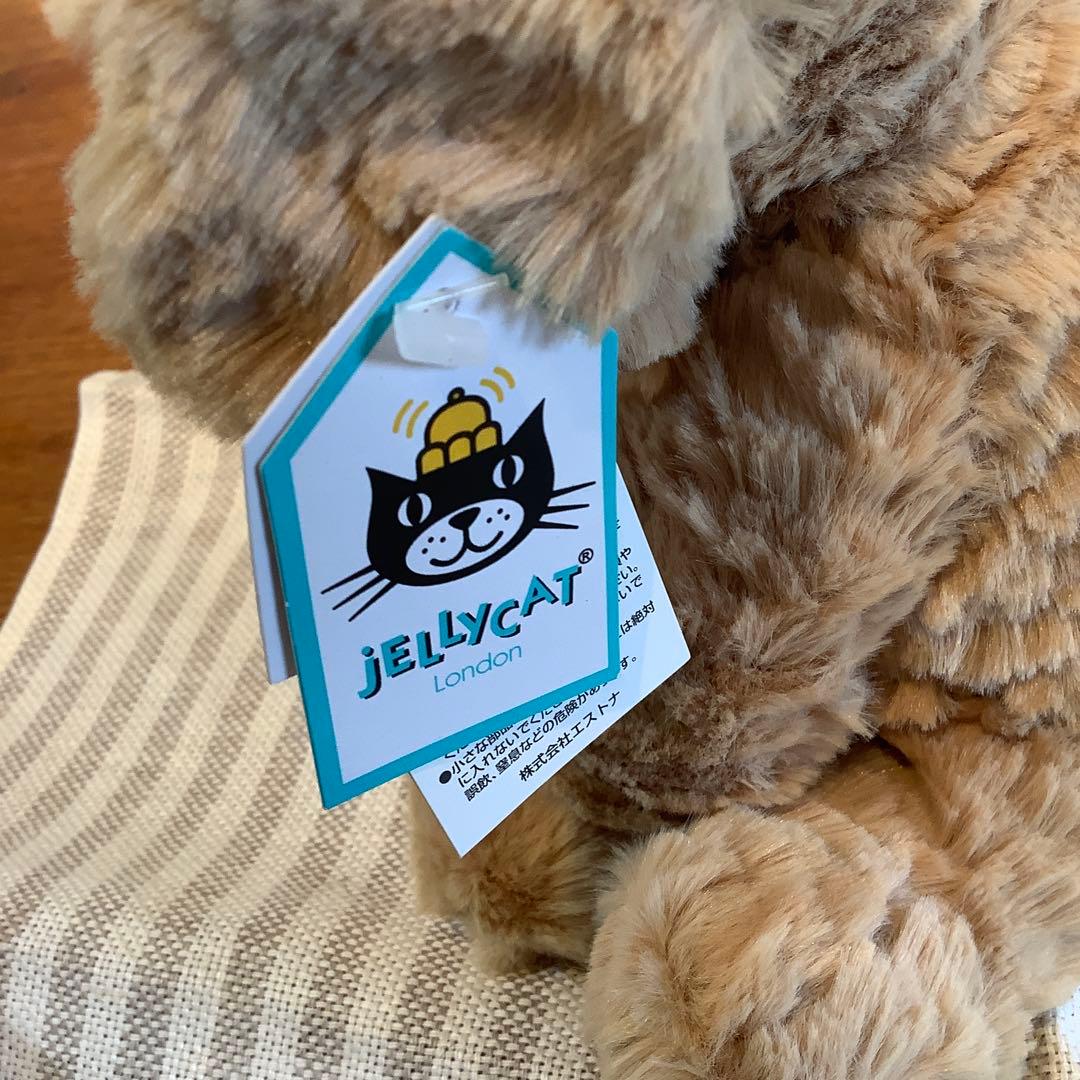 【 ジェリーキャット】犬【正規品】M 希少！タグ付き