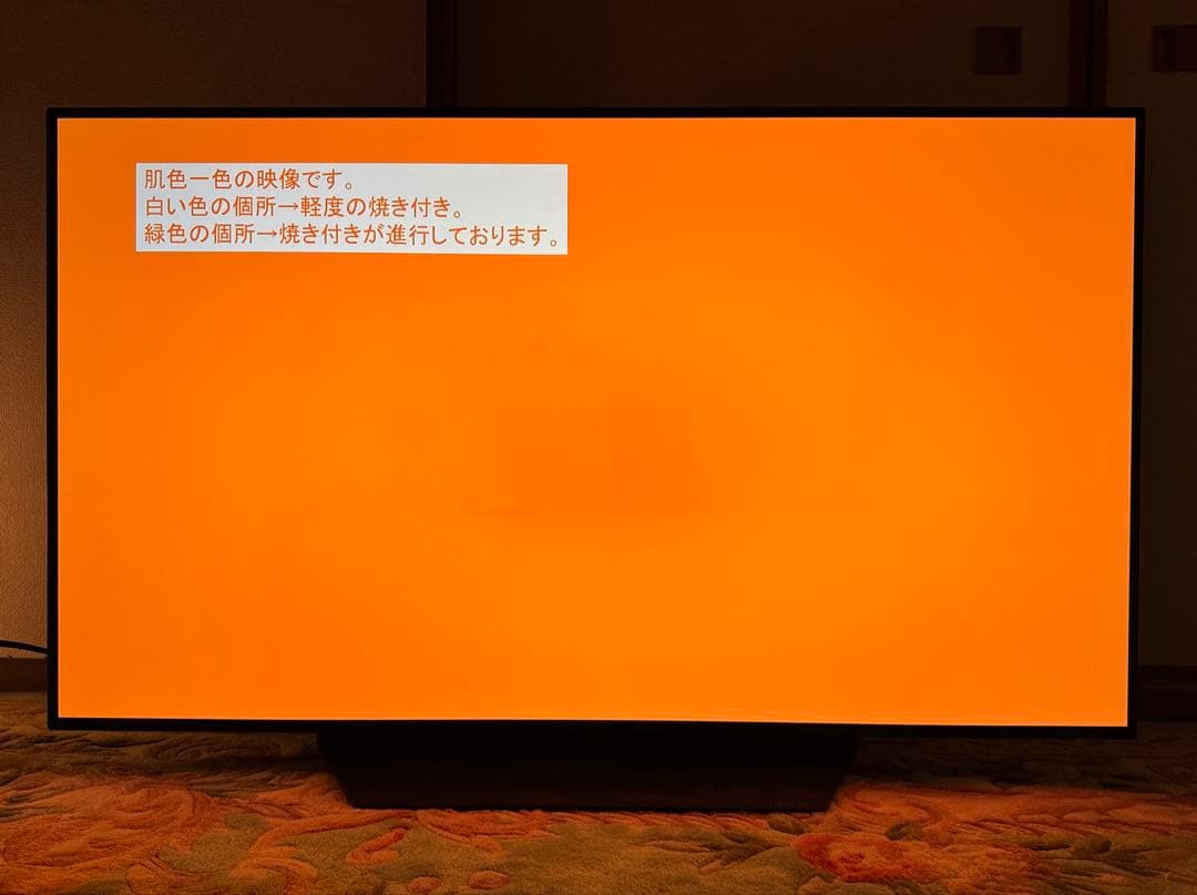 LG 48型 有機EL OLED48PJA 焼き付き要確認 手渡し