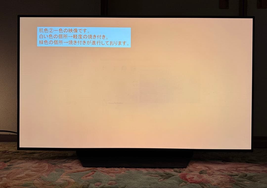 LG 48型 有機EL OLED48PJA 焼き付き要確認 手渡し
