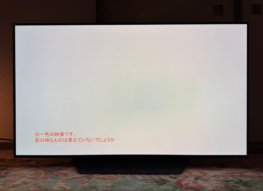LG 48型 有機EL OLED48PJA 焼き付き要確認 手渡し
