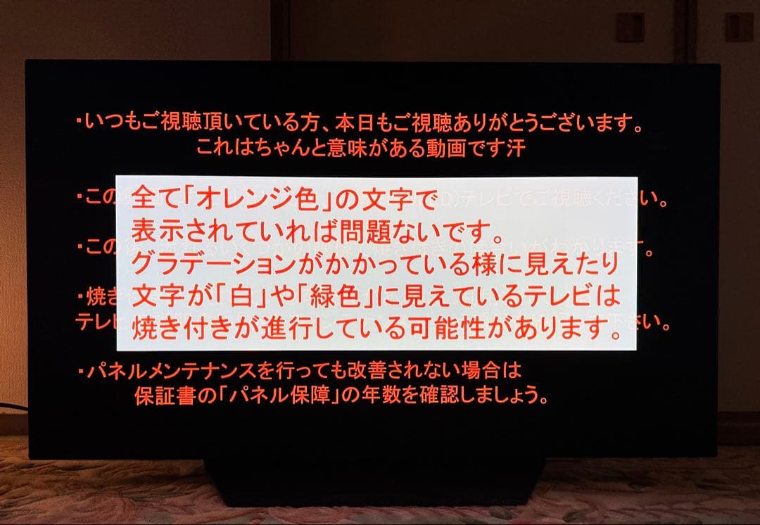 LG 48型 有機EL OLED48PJA 焼き付き要確認 手渡し