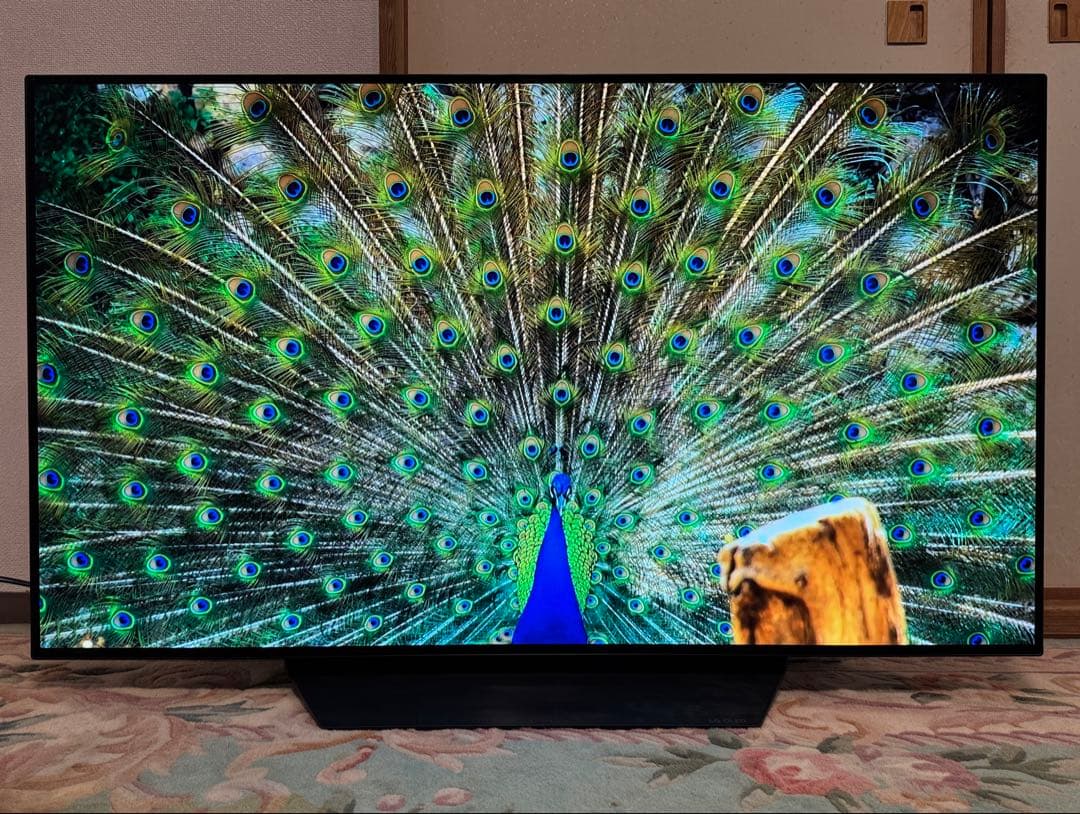 LG 48型 有機EL OLED48PJA 焼き付き要確認 手渡し