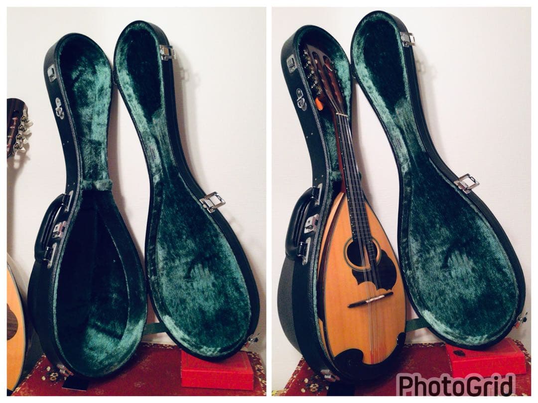 ◉鈴木バイオリン SUZUKI マンドリン M-30 ハードケース スズキ◉美品