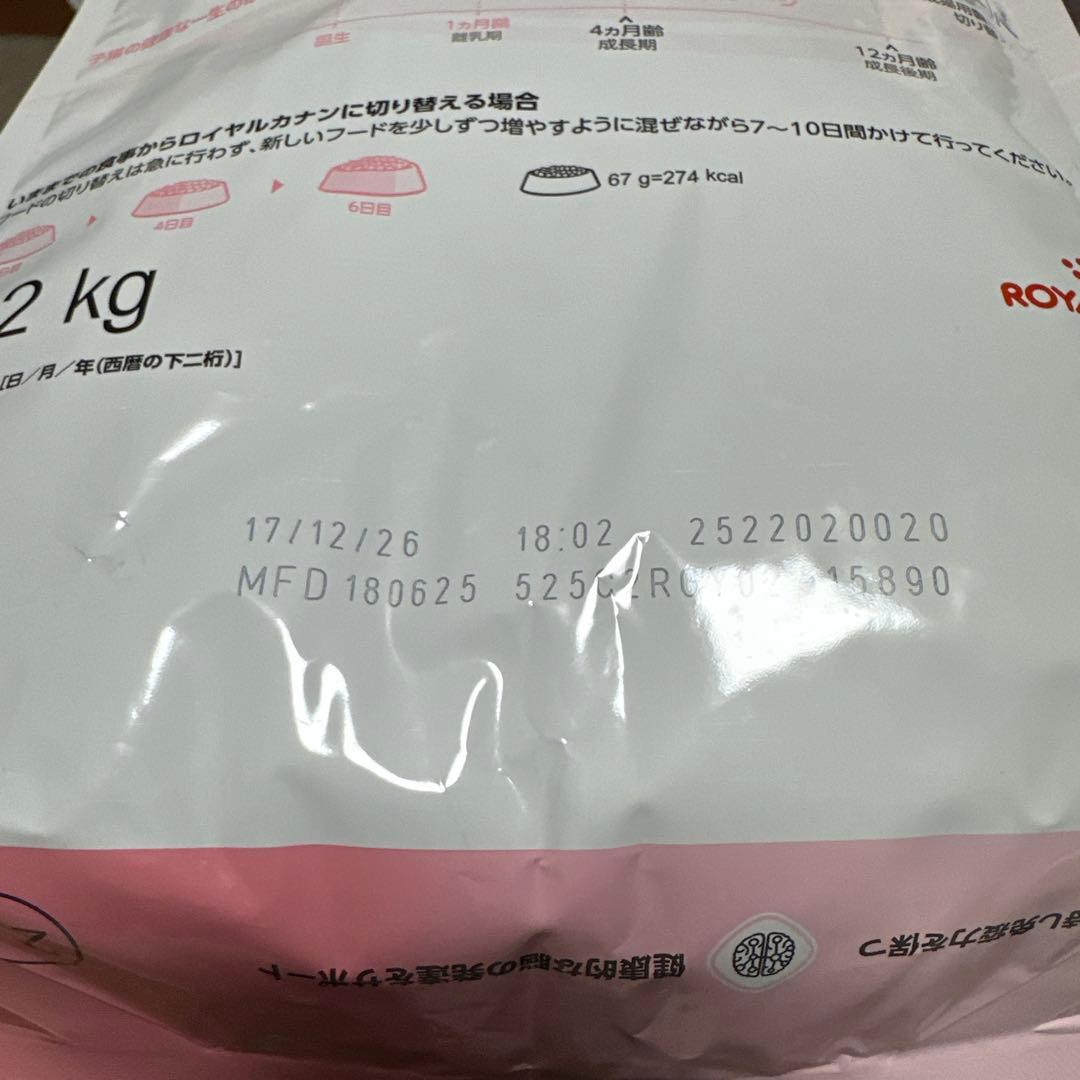  CANIN 成長後期の子猫用 2kg 2袋