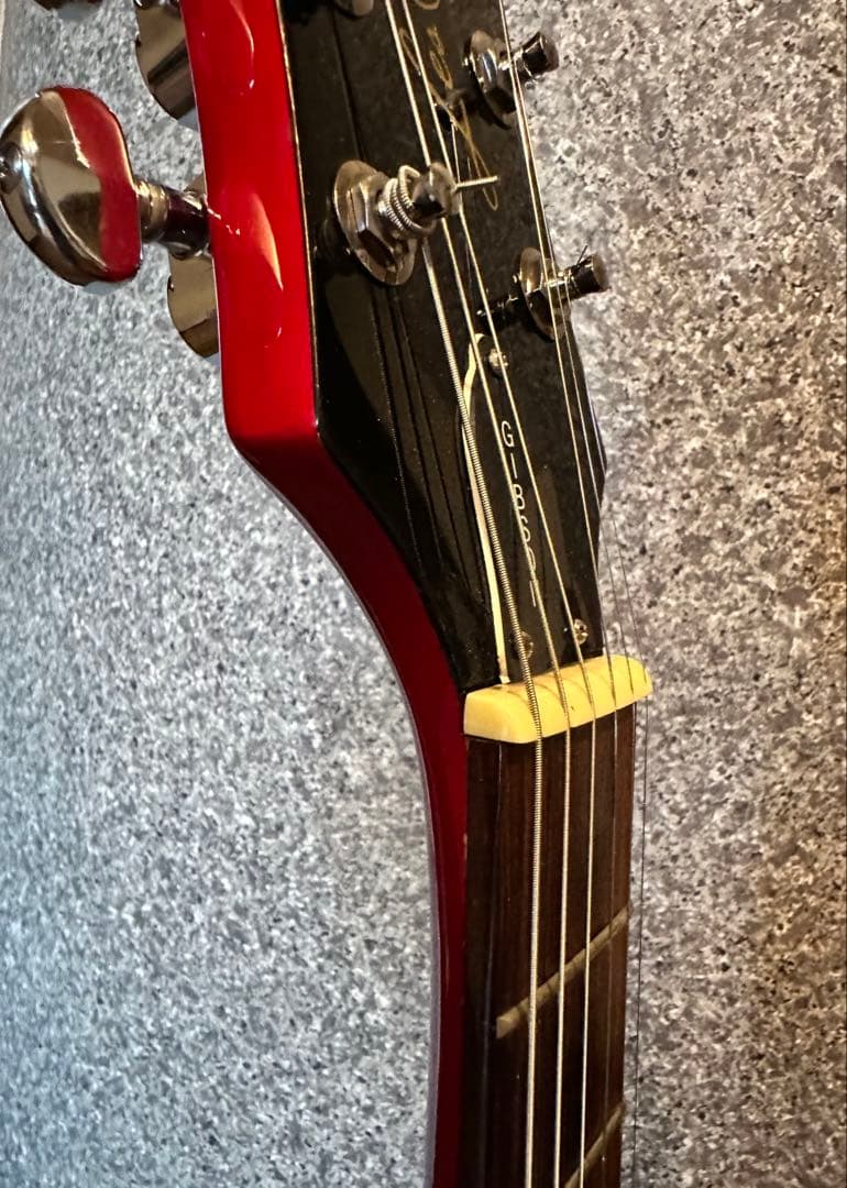 Epiphone Les Paul 100改