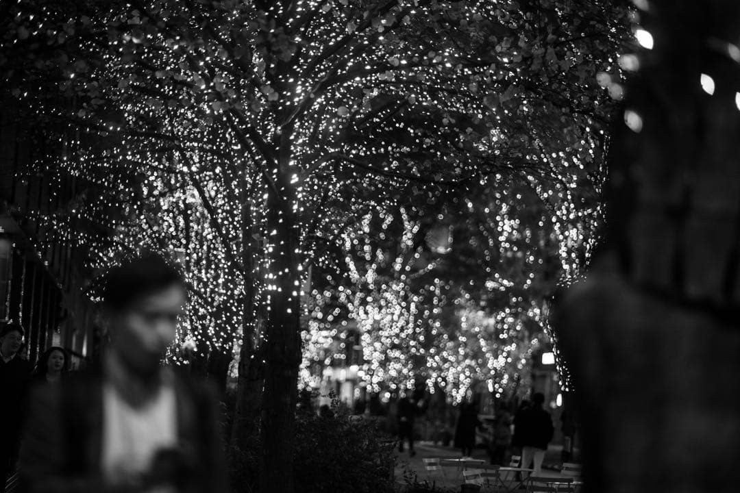 レンズ(単焦点) CONTAX Planar T*85mm F1.4 AE Germany