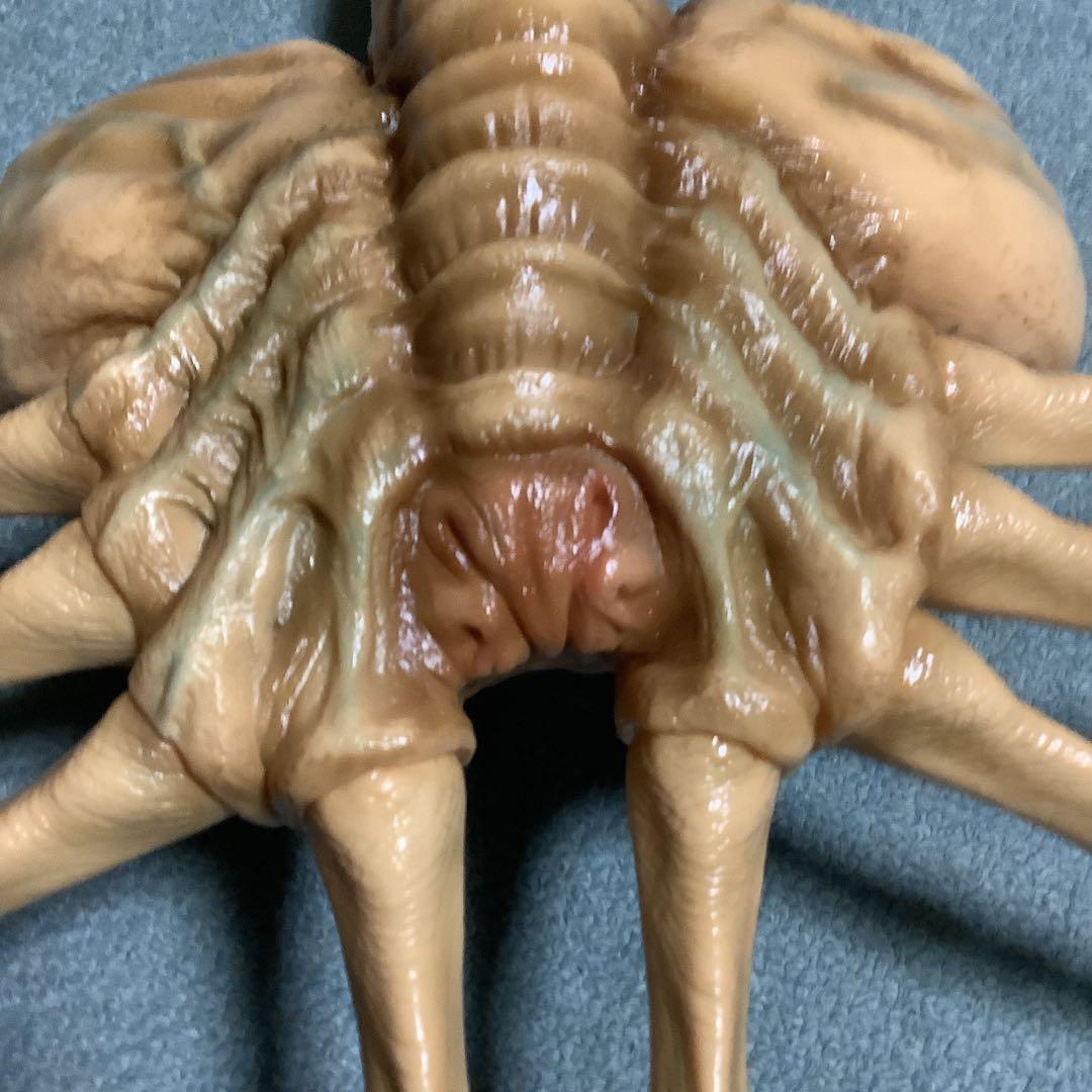 エイリアン★ソフビ★ガレージキット★フェイスハガー★1/1実物大★完成品★ツクダ