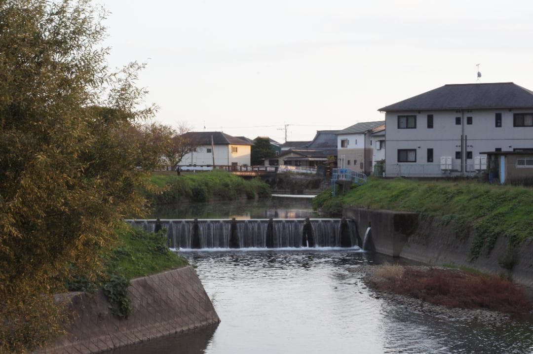 【富岡光学 ヤシカ】 Auto Yashinon DS 50mm F1.9