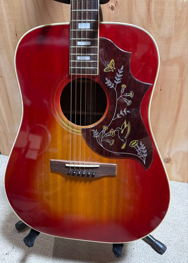 Jumbo Hummingbird 単板　ジャパンビンテージ '70s PG新品