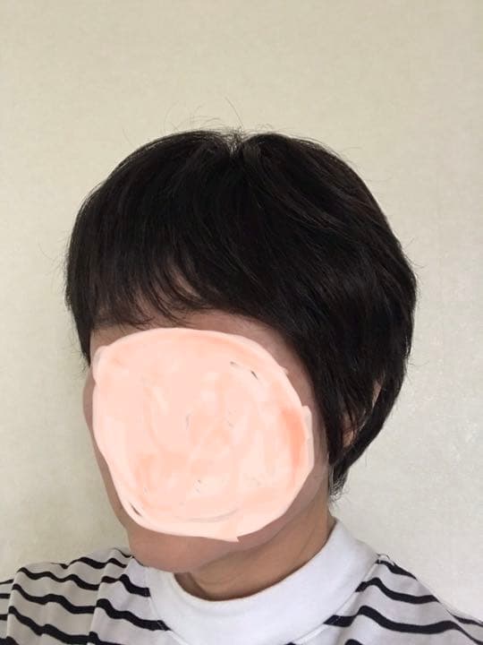 た*ん様 FONTAINE フォンテーヌ　VALAN フルウイッグ　ショート