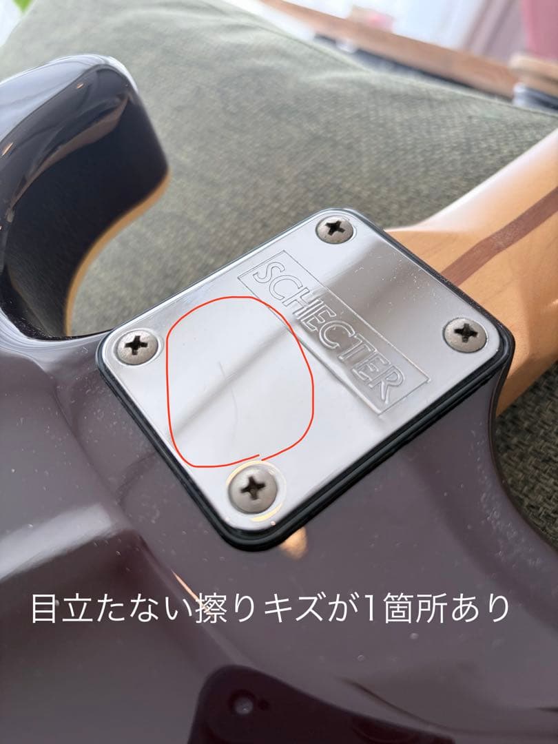 SCHECTER NV 22F キルテッドメイプルトップ【送料負担】