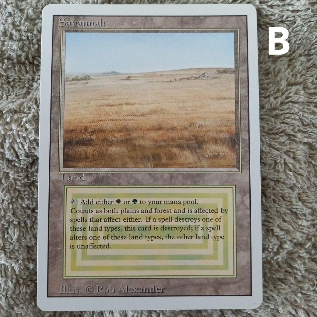 SAKI Savannah [3ED] 2枚セット