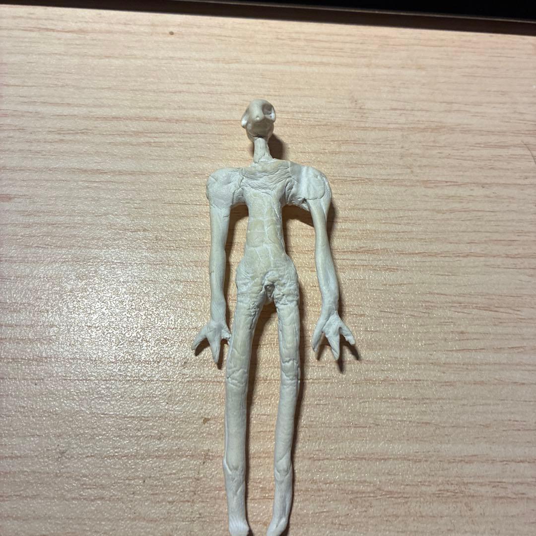 自作宇宙人のミイラ