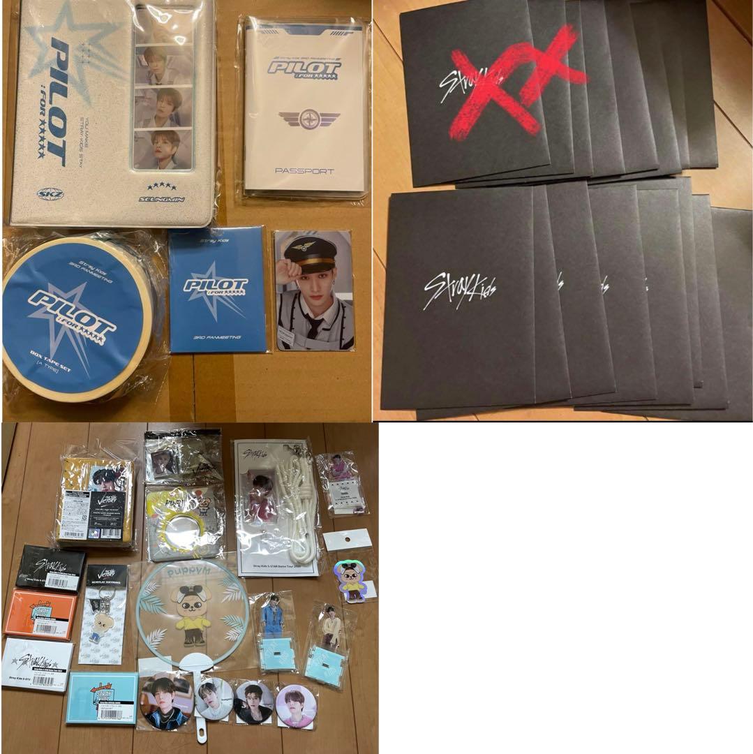 Stray Kids スンミン グッズ