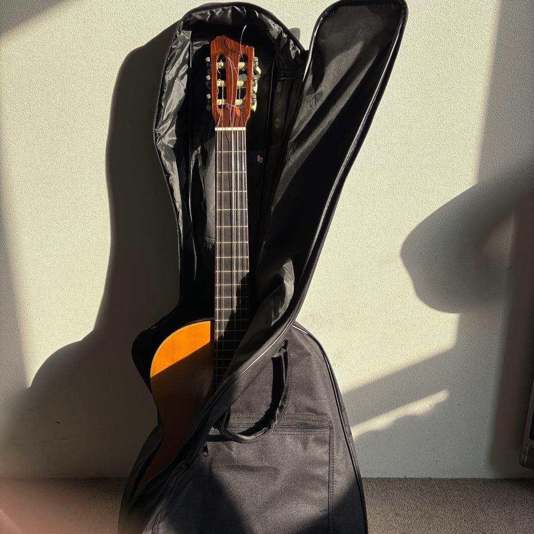 アコースティックギターzenon guitar zg-200