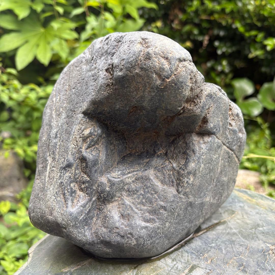 【再お値下げ】〈希少 八海山石 大型9kg〉アクアリウム 親石 ウブ石 ジャグレ