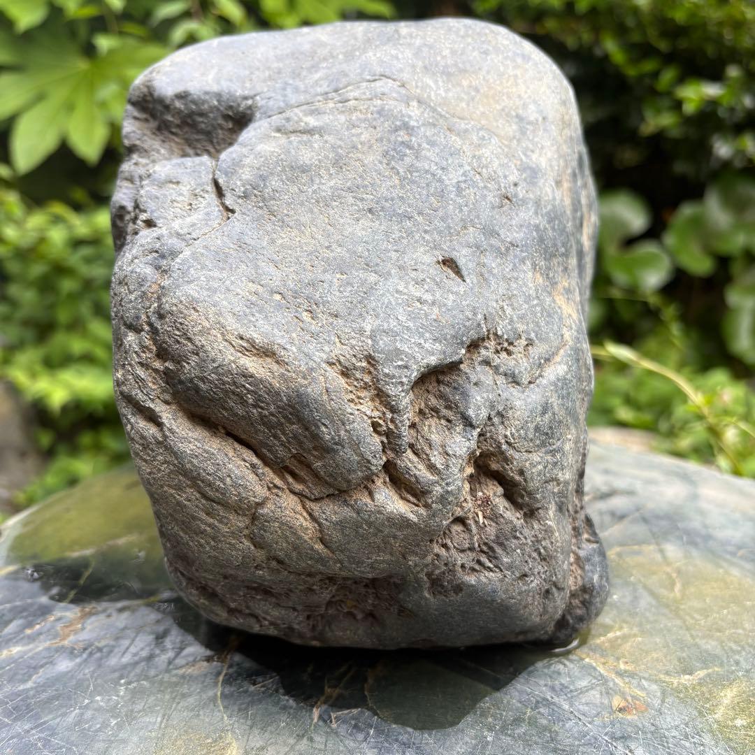 【再お値下げ】〈希少 八海山石 大型9kg〉アクアリウム 親石 ウブ石 ジャグレ