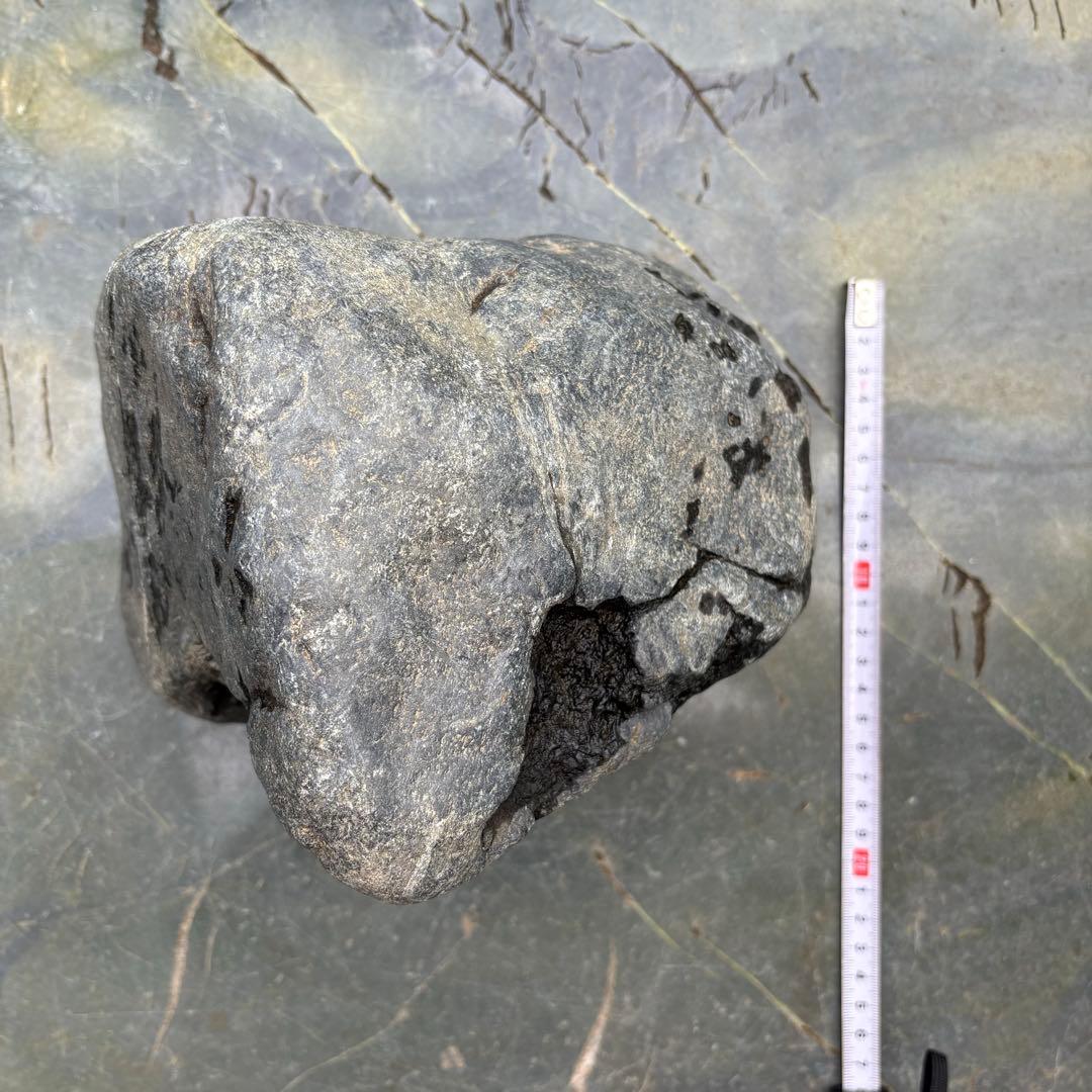 【再お値下げ】〈希少 八海山石 大型9kg〉アクアリウム 親石 ウブ石 ジャグレ