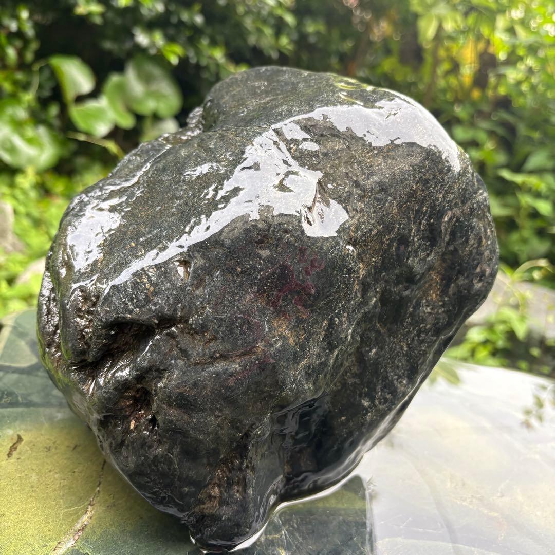 【再お値下げ】〈希少 八海山石 大型9kg〉アクアリウム 親石 ウブ石 ジャグレ