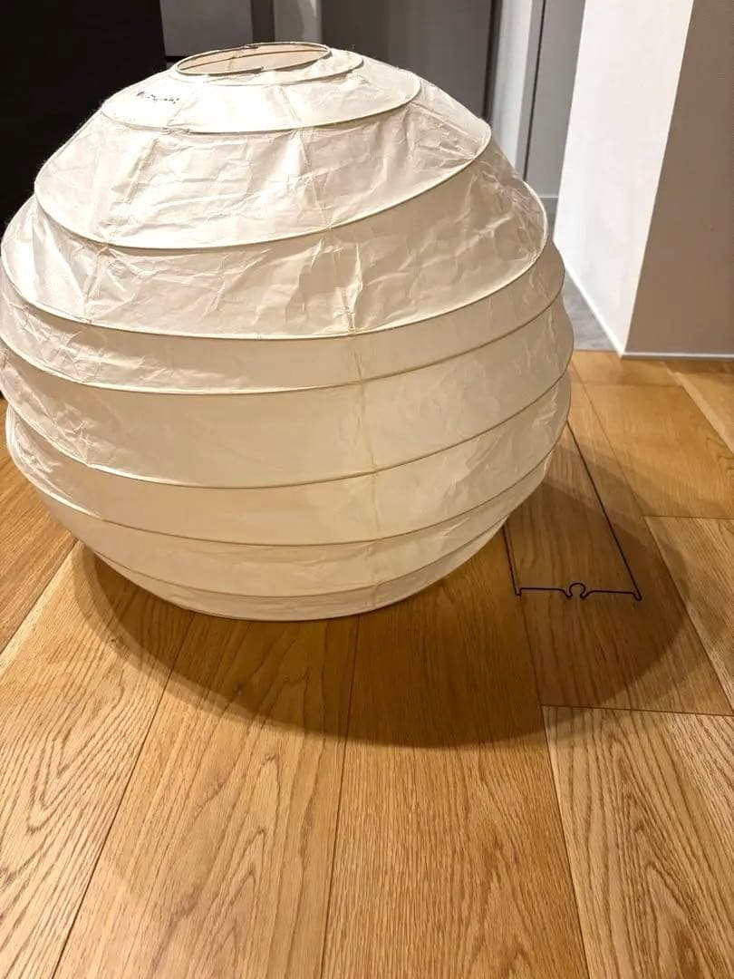 [盆栽苑]イサムノグチ akari 55D