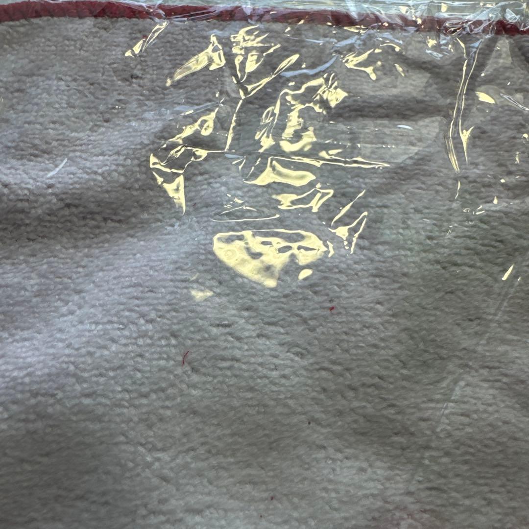 ポケモン　プラターヌ博士　ミニタオル