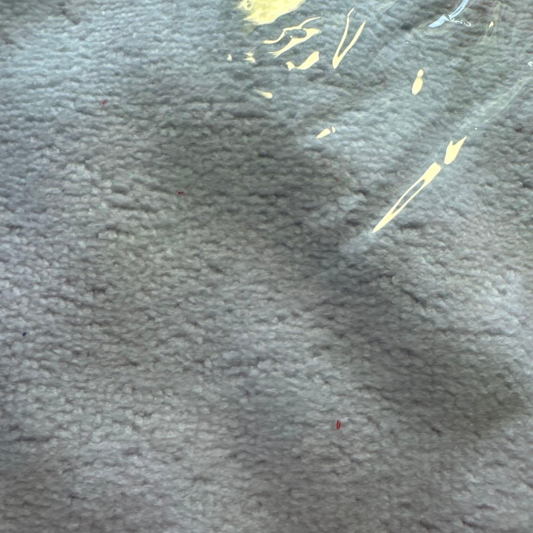 ポケモン　プラターヌ博士　ミニタオル