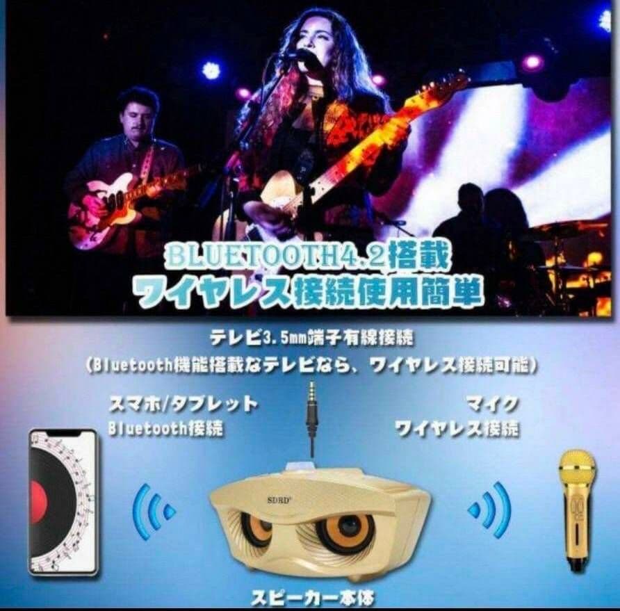 カラオケ マイク 2本 セット ワイヤレス Bluetooth スマホ セット