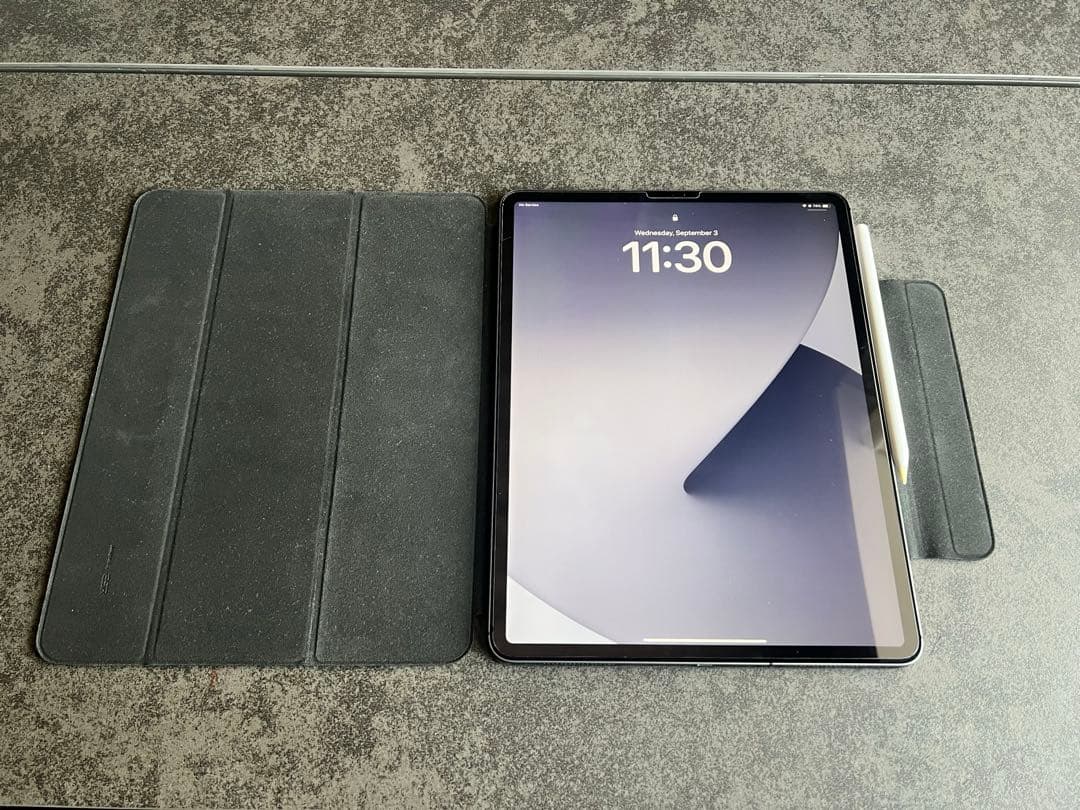 iPad Pro 12.9インチ 第4世代 256GB セルラー