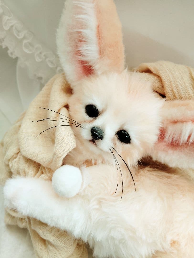 生後２ヶ月♡ベビーフェネックちゃん♡アートドール♡ぬいぐるみ♡