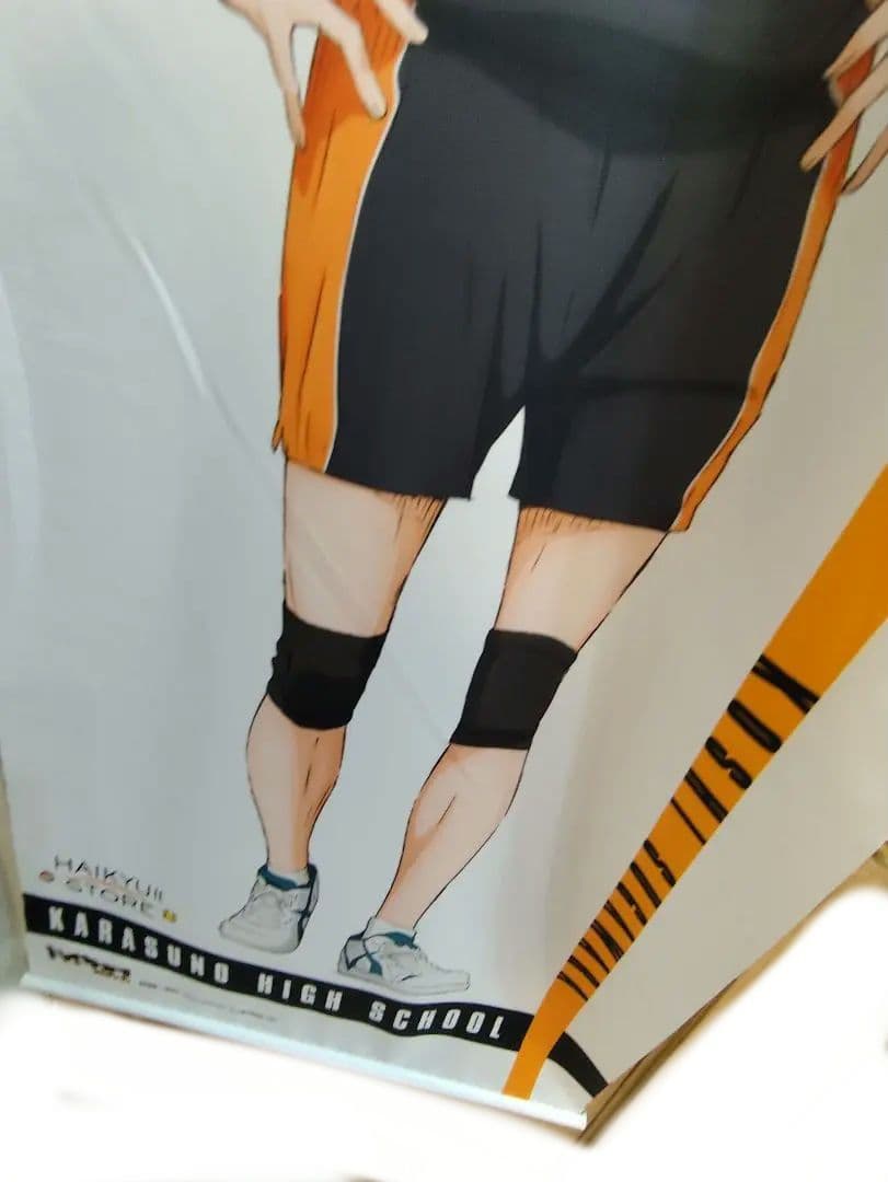 ハイキュー 菅原孝支 菅原 アニメイト タペストリー