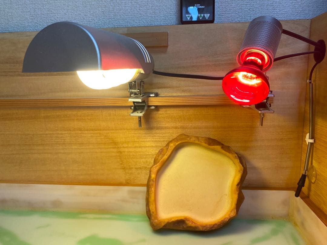 引き出し式爬虫類木製飼育ケージセット