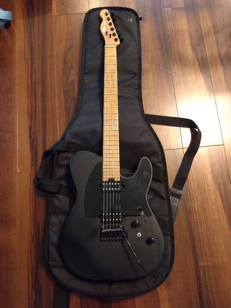 ギター Pro-Mod So-Cal Style 2 24 HH 2PT CM ASH