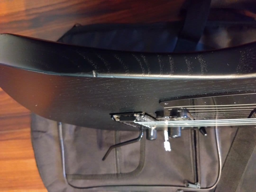 ギター Pro-Mod So-Cal Style 2 24 HH 2PT CM ASH