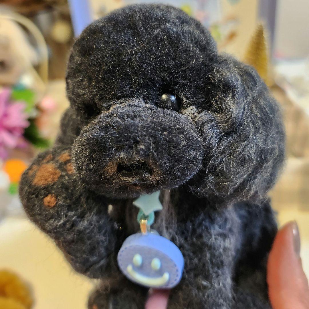トイプードル❤️ハンドメイド❤️羊毛フェルト　　　　　　　　　お迎え決まりました